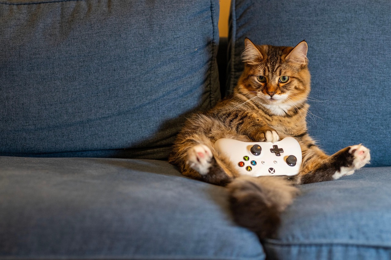 Charitable gaming